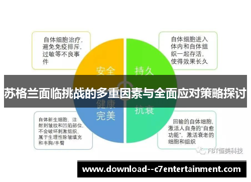 苏格兰面临挑战的多重因素与全面应对策略探讨