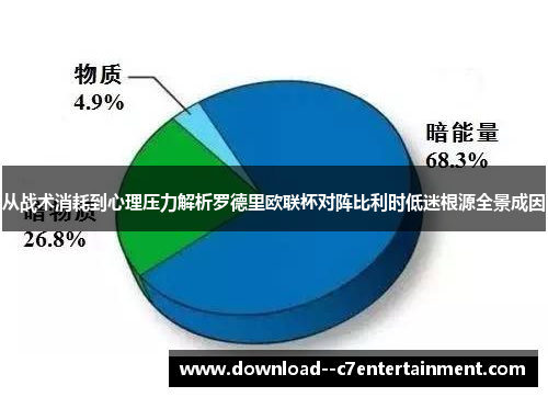 从战术消耗到心理压力解析罗德里欧联杯对阵比利时低迷根源全景成因