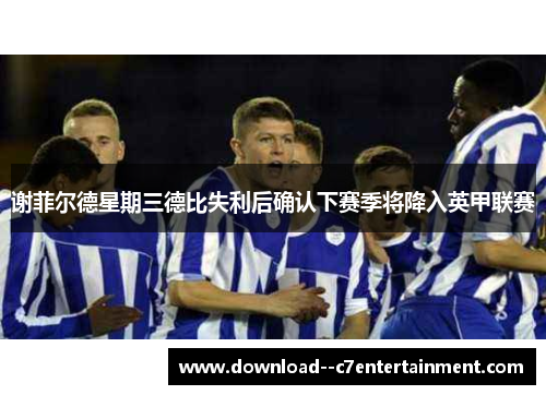 谢菲尔德星期三德比失利后确认下赛季将降入英甲联赛