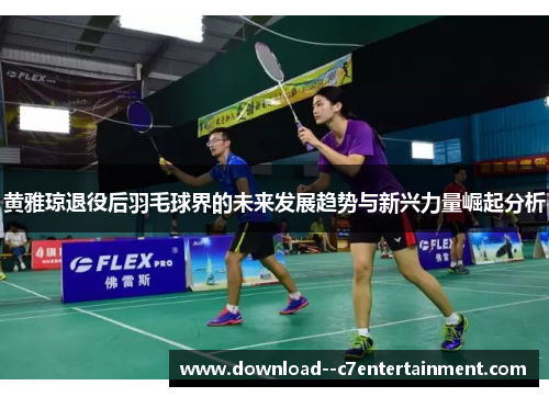 黄雅琼退役后羽毛球界的未来发展趋势与新兴力量崛起分析